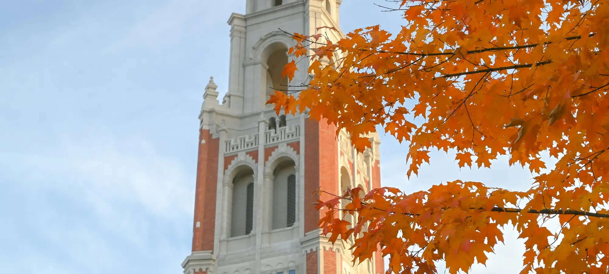 A campus tower in New Haven framed by autumn leaves