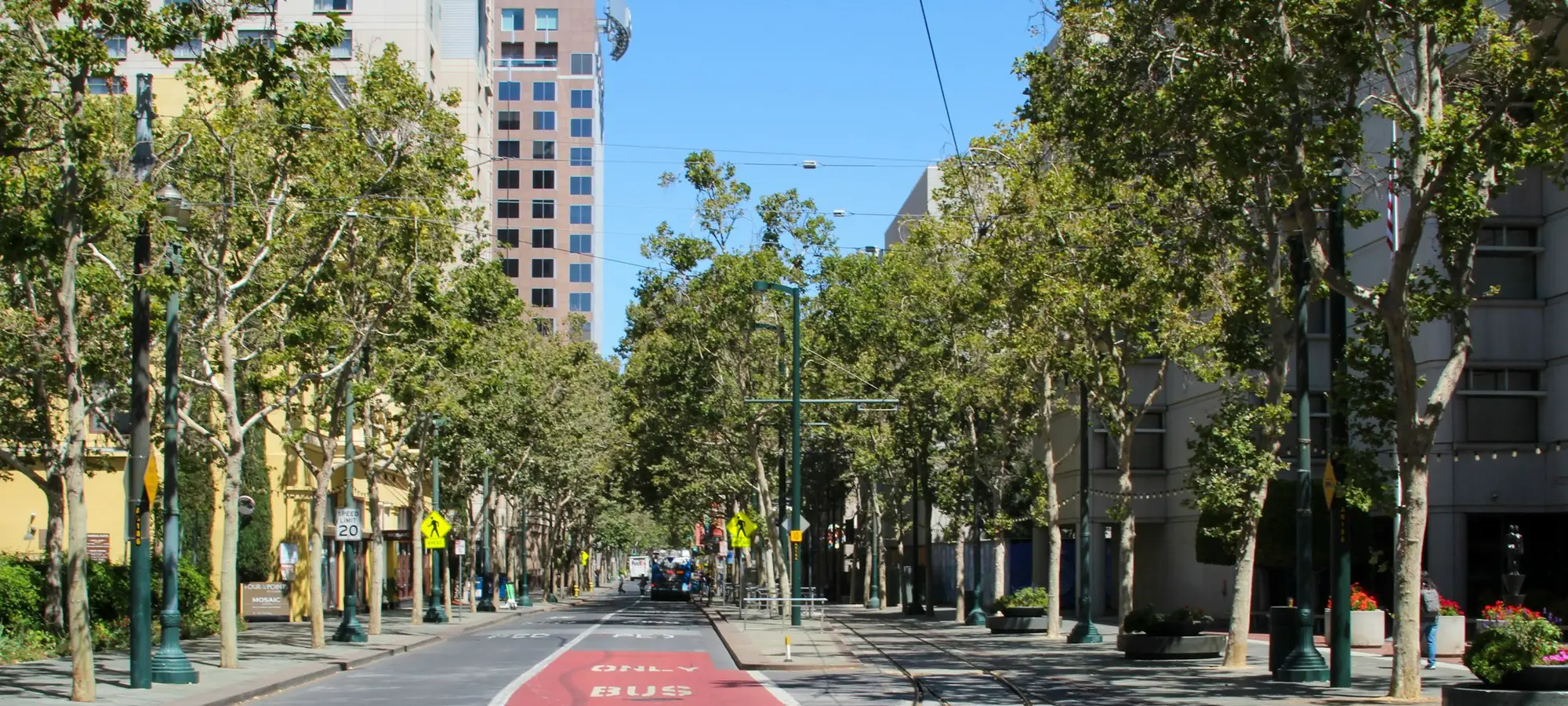 Tree-lined street in downtown San Jose, California